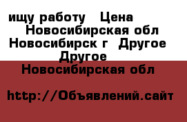 ищу работу › Цена ­ 40 000 - Новосибирская обл., Новосибирск г. Другое » Другое   . Новосибирская обл.